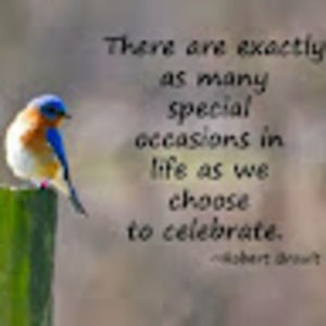 Meet your Posher, Edwin